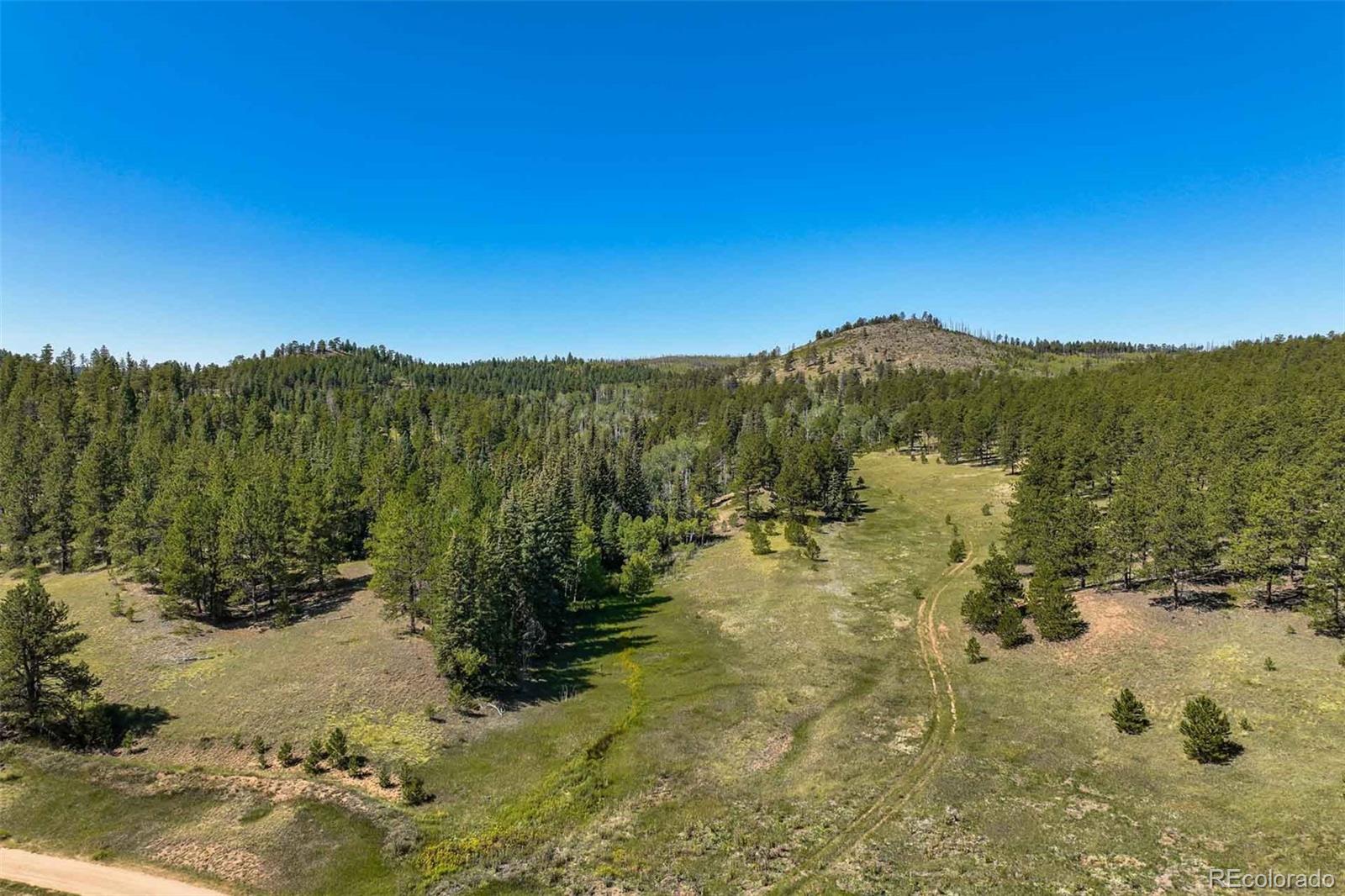 11068 Trail Creek Road Divide CO 80814