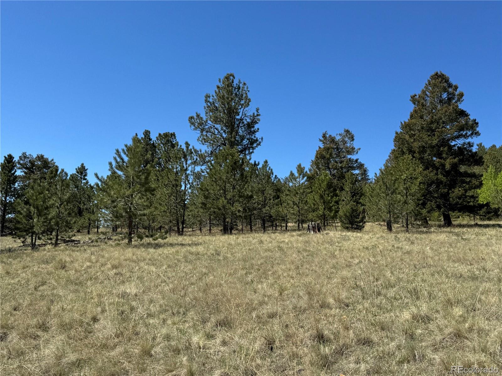 9430 Ranch Road Hartsel CO 80449