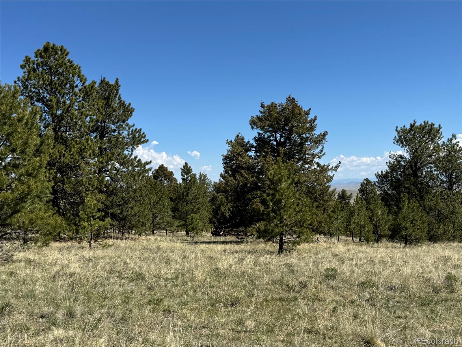 9430 Ranch Road Hartsel CO 80449