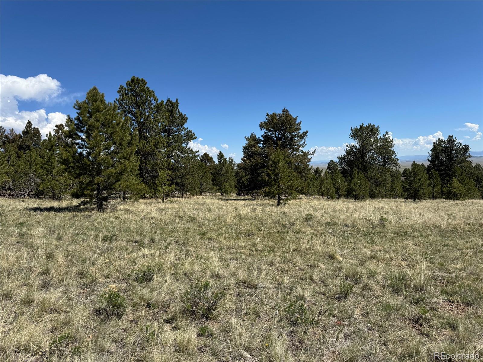 9430 Ranch Road Hartsel CO 80449
