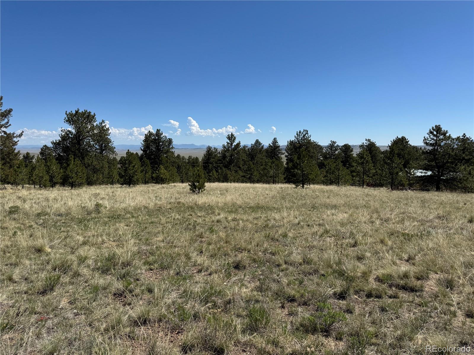 9430 Ranch Road Hartsel CO 80449