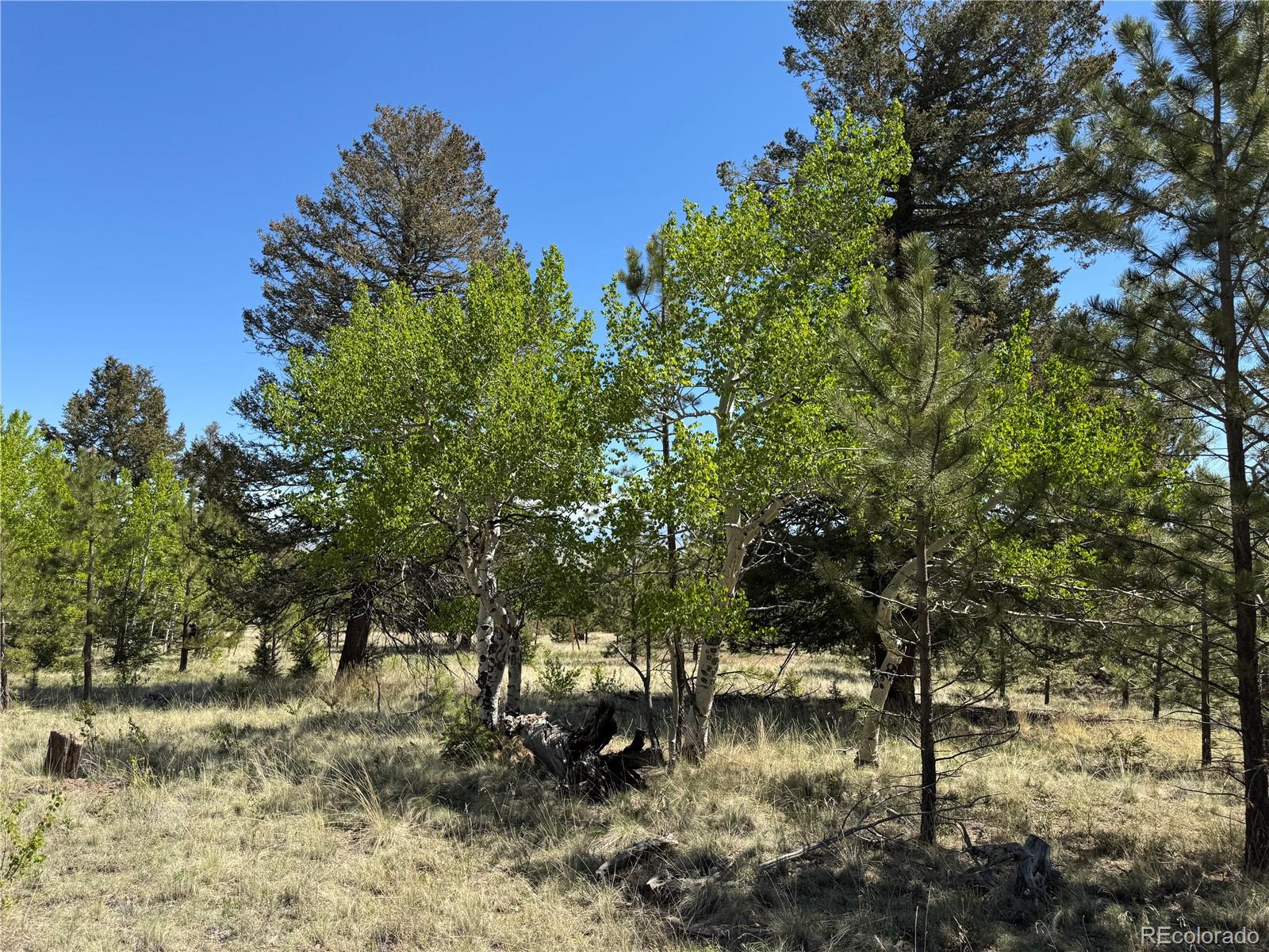9430 Ranch Road Hartsel CO 80449