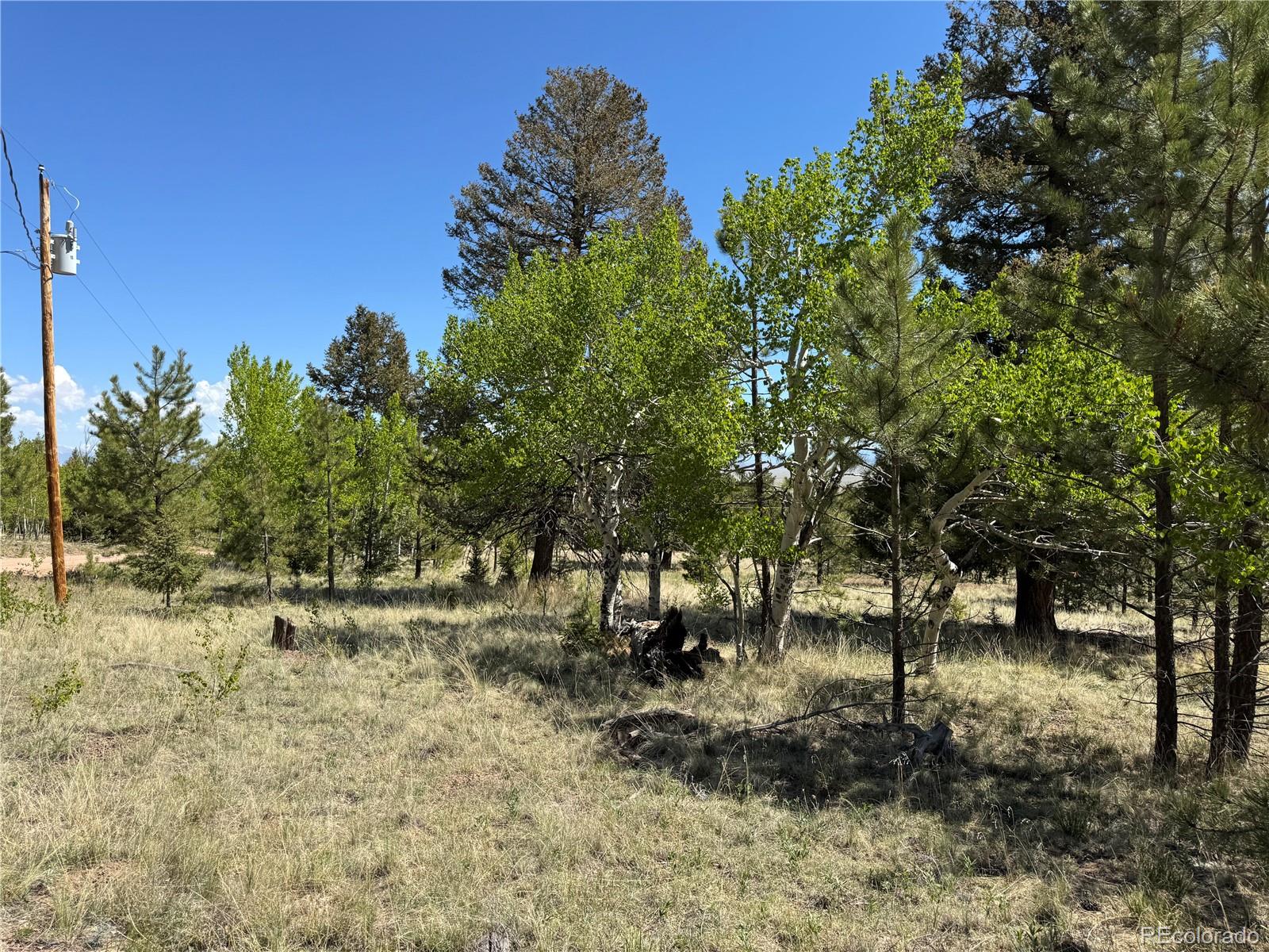 9430 Ranch Road Hartsel CO 80449