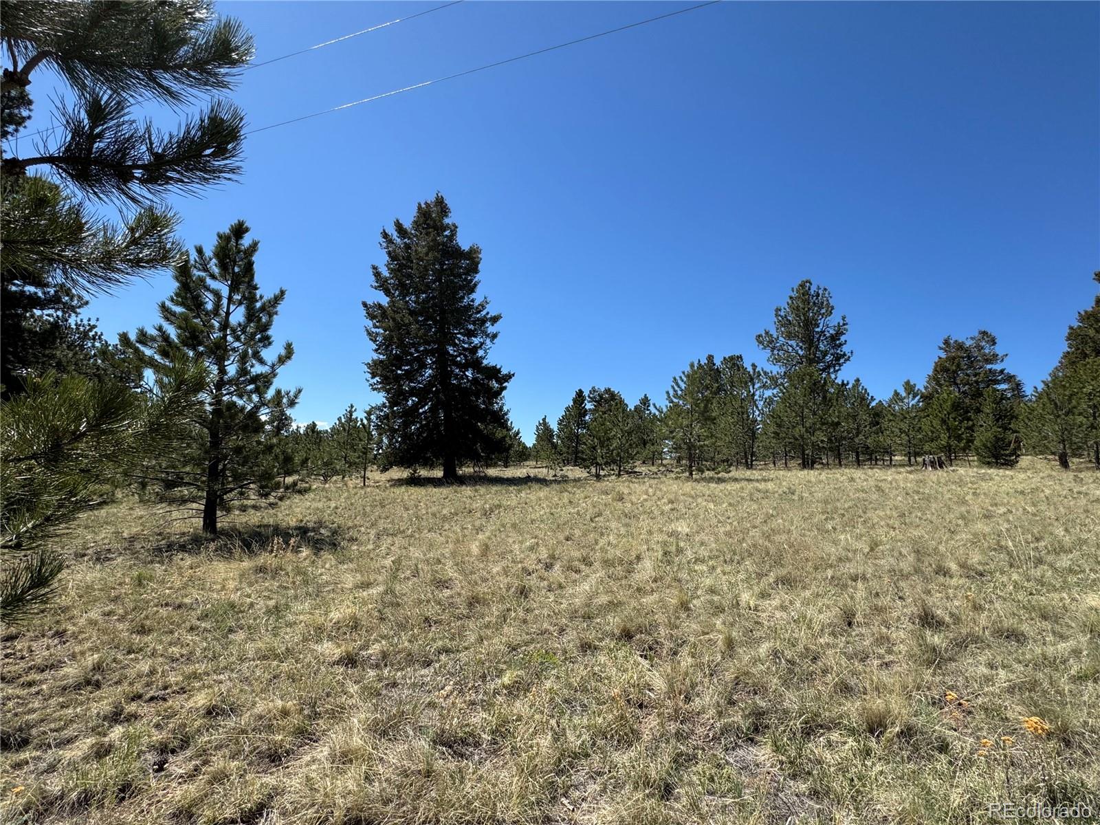 9430 Ranch Road Hartsel CO 80449