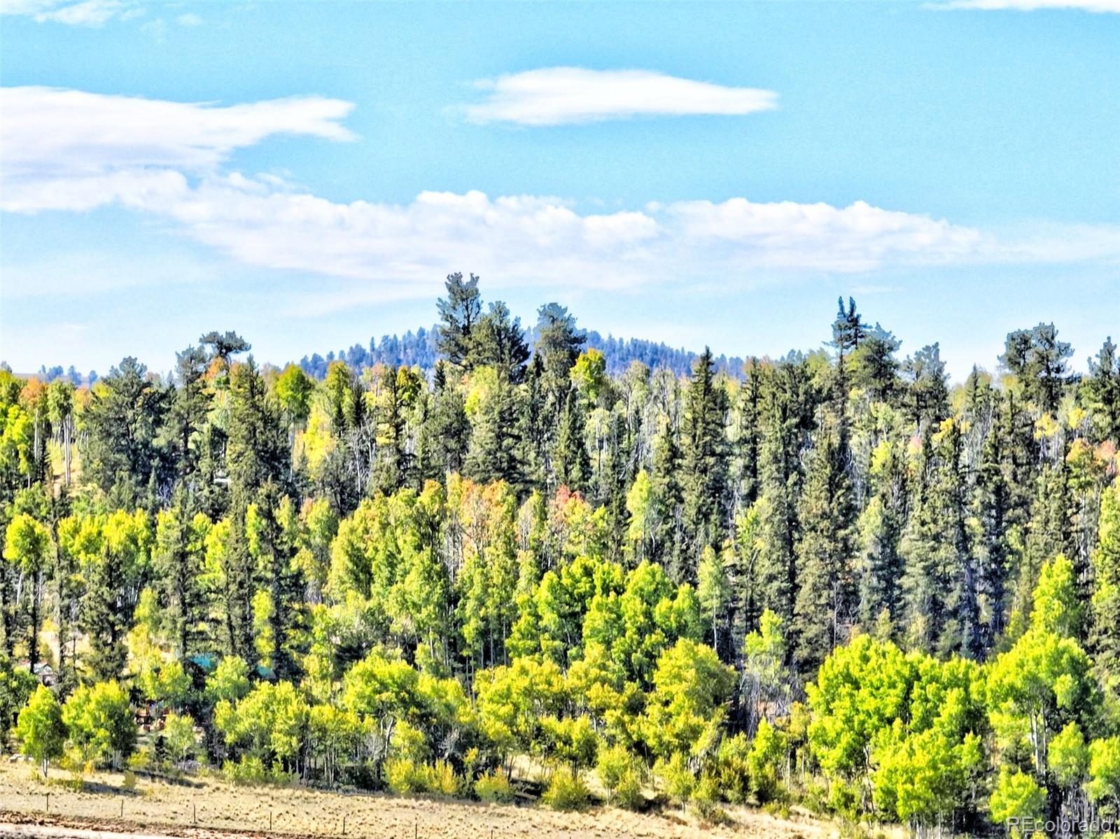 900 Remington Road Como CO 80456