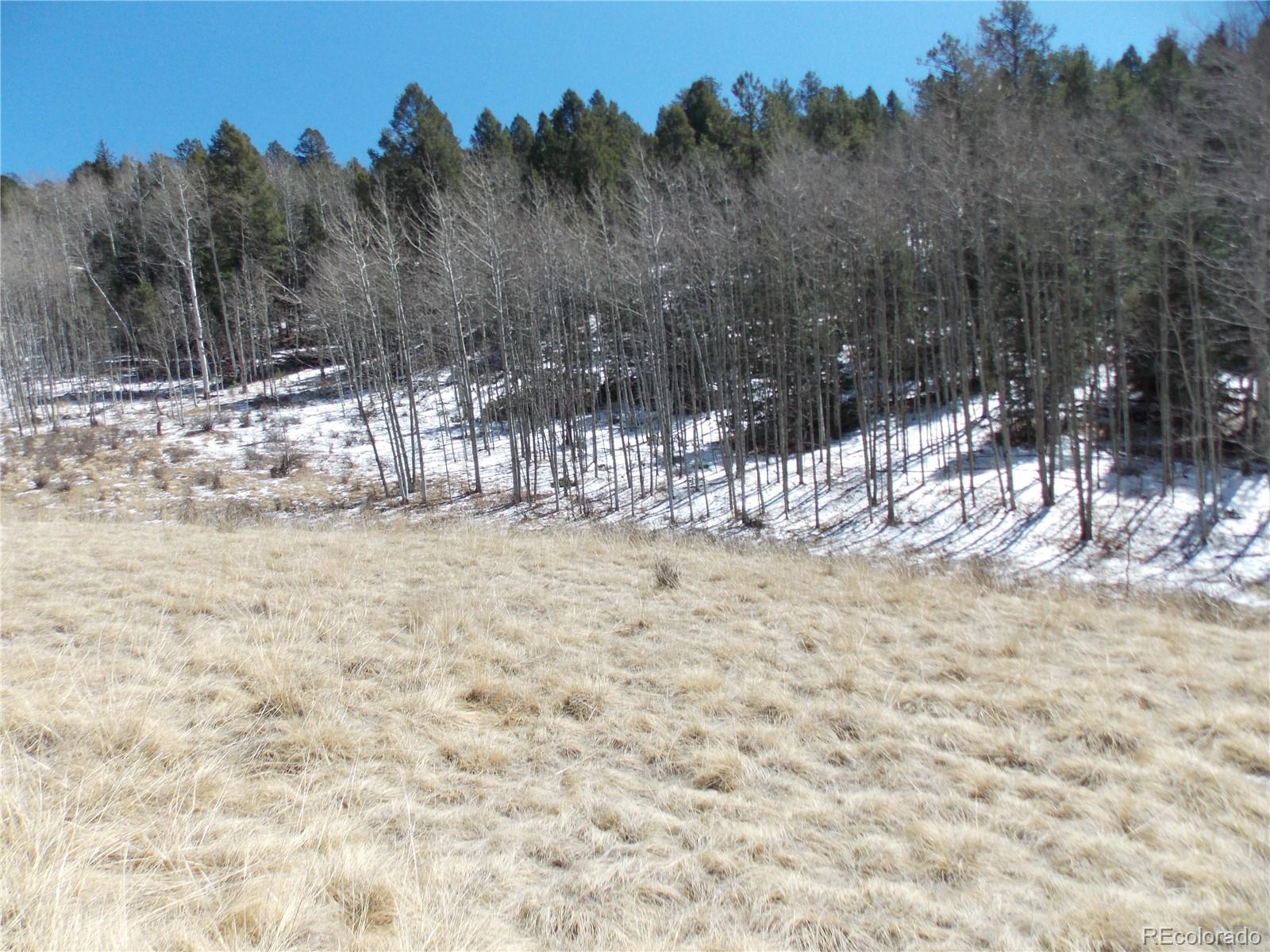 388 Grey Eagle Drive Cripple Creek CO 80813