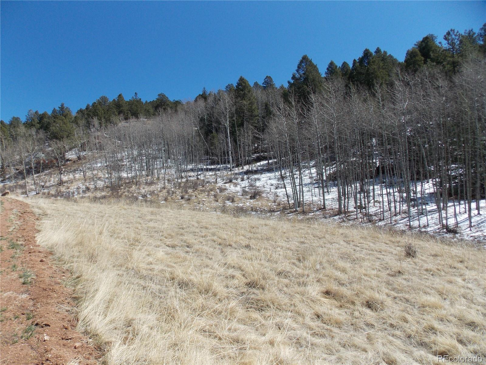 388 Grey Eagle Drive Cripple Creek CO 80813
