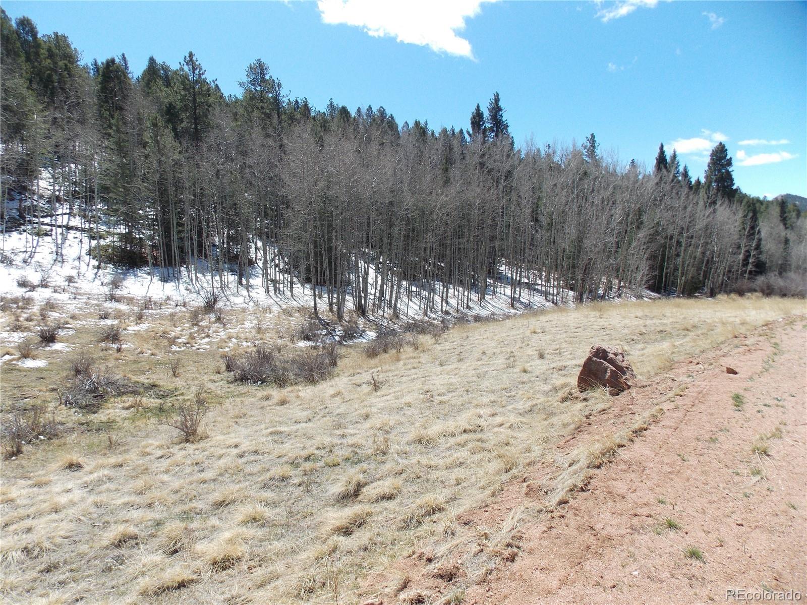 388 Grey Eagle Drive Cripple Creek CO 80813