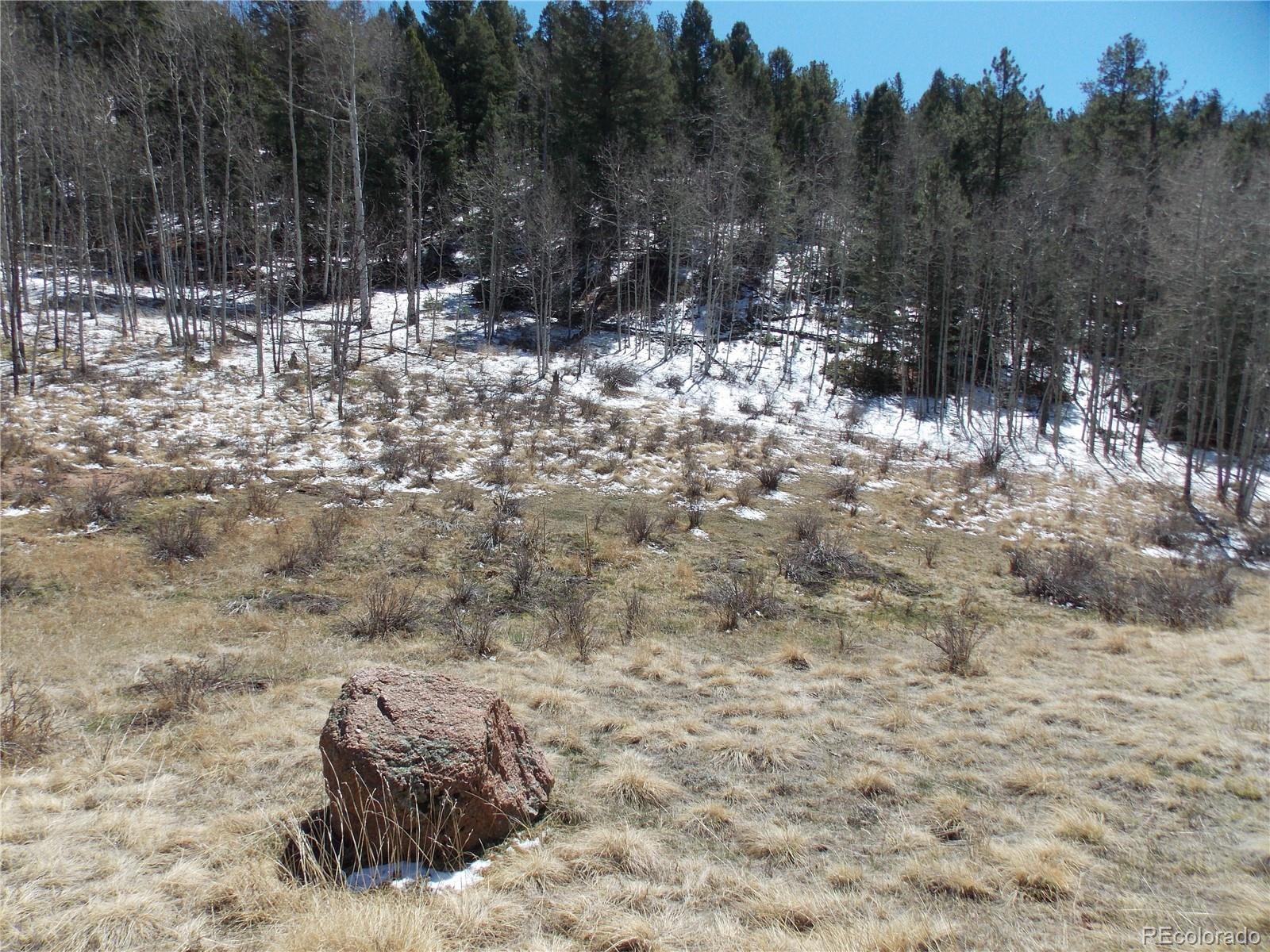 388 Grey Eagle Drive Cripple Creek CO 80813
