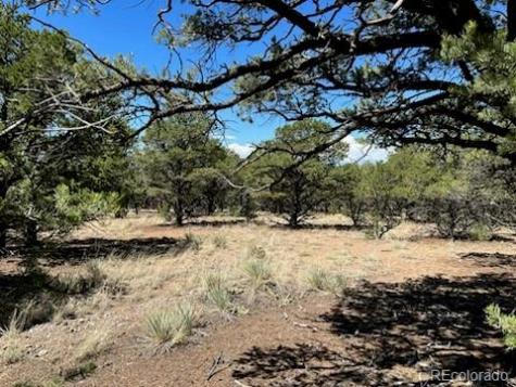 616 Panorama Way Crestone CO 81131