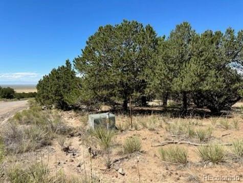 616 Panorama Way Crestone CO 81131