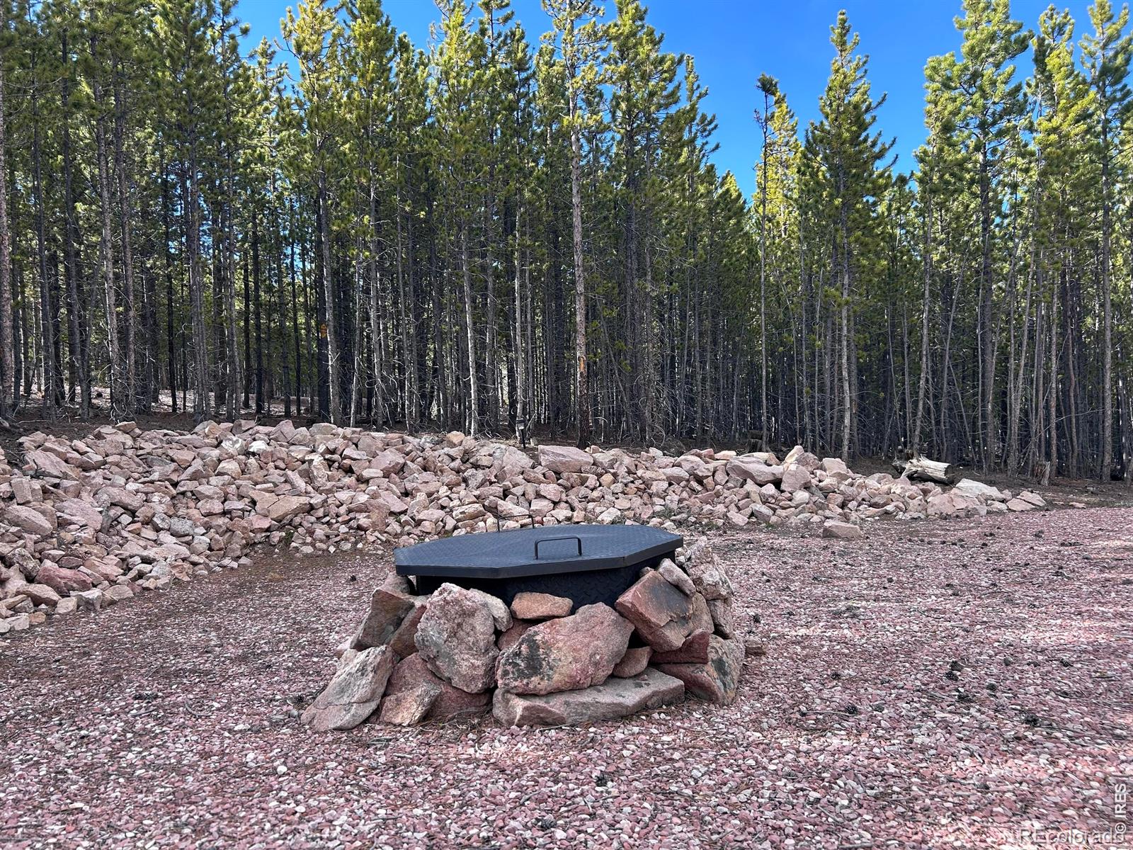 2596 Ottawa Way Red Feather Lakes CO 80545
