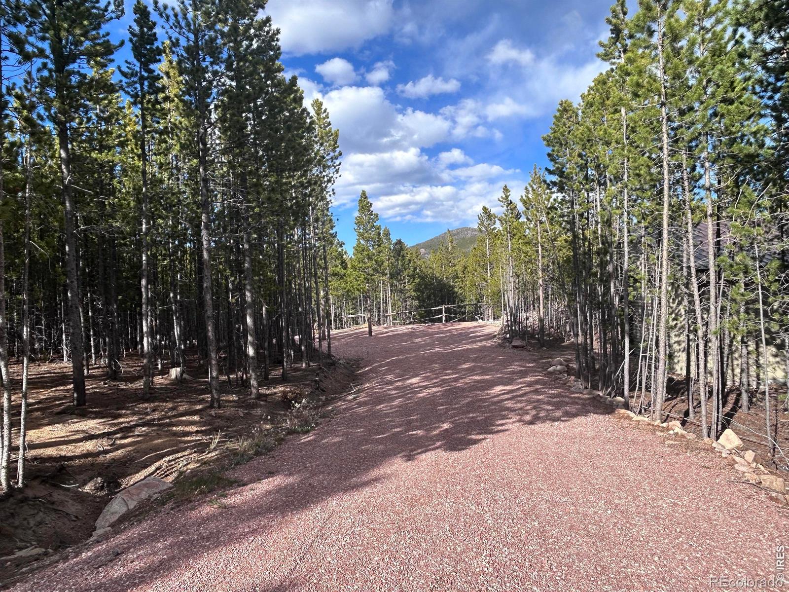 2596 Ottawa Way Red Feather Lakes CO 80545