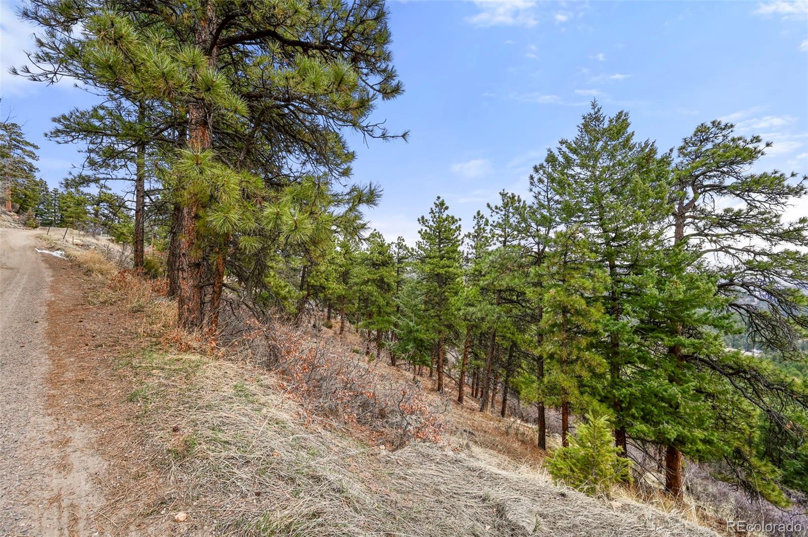 5312 Adahi Road Indian Hills CO 80454
