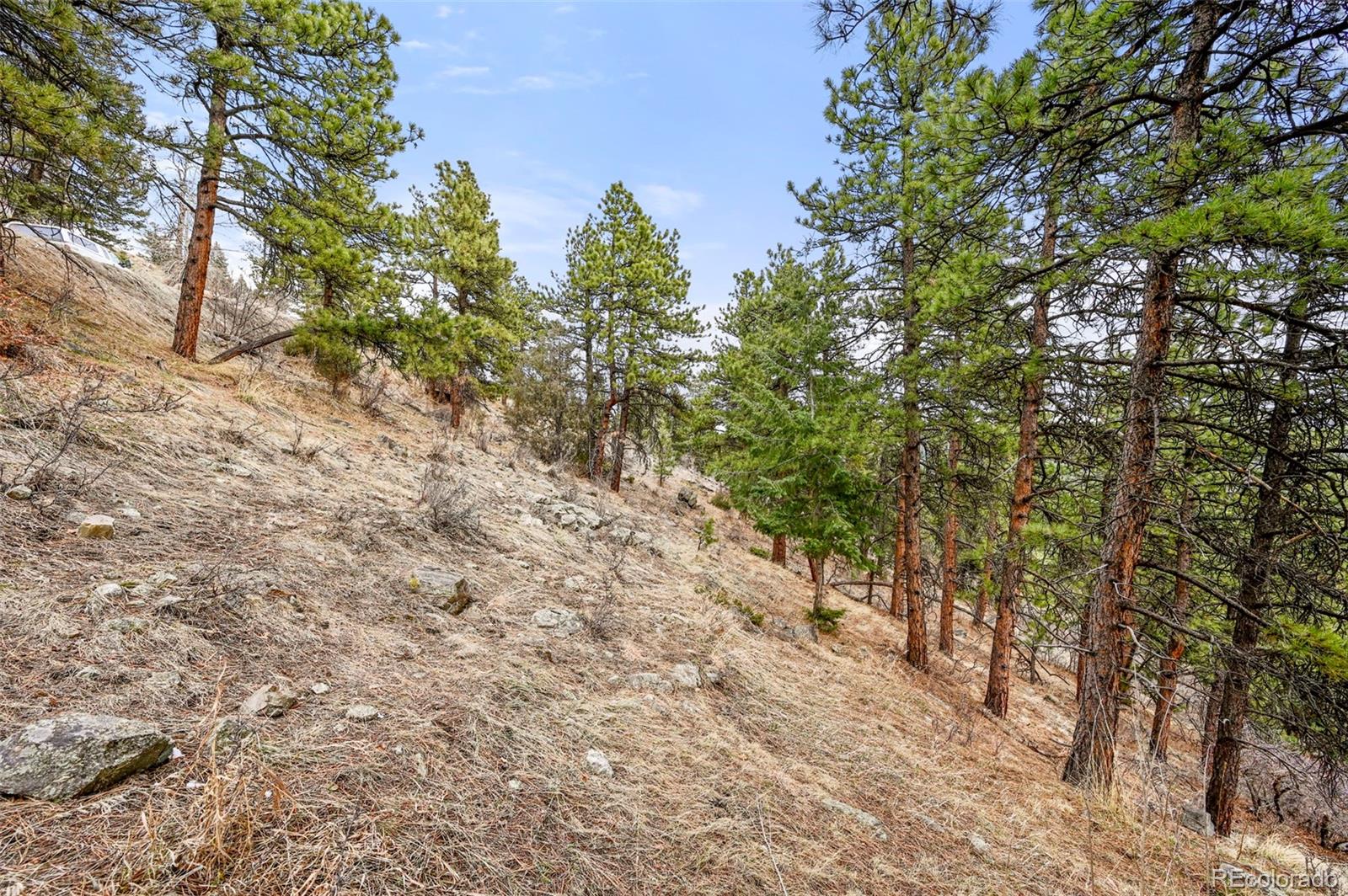5312 Adahi Road Indian Hills CO 80454