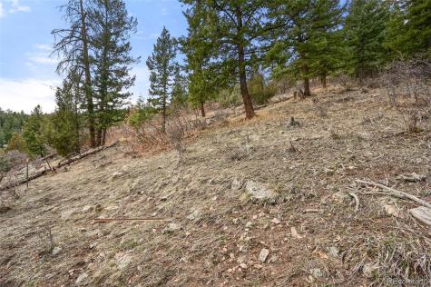 5312 Adahi Road Indian Hills CO 80454