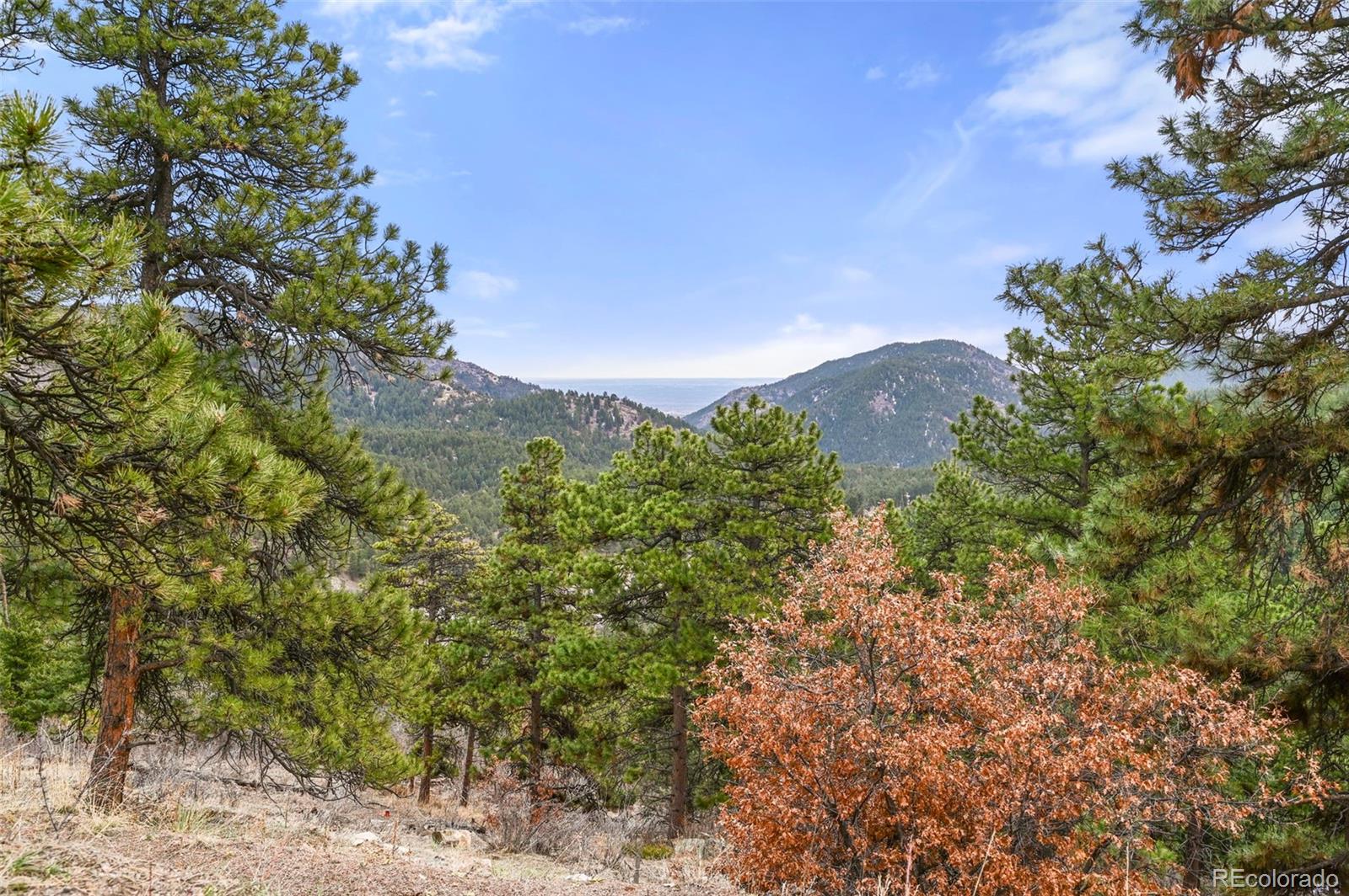 5312 Adahi Road Indian Hills CO 80454