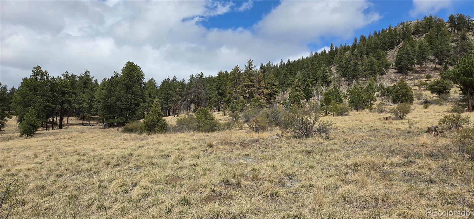 62430 Us Highway 285 Bailey CO 80421