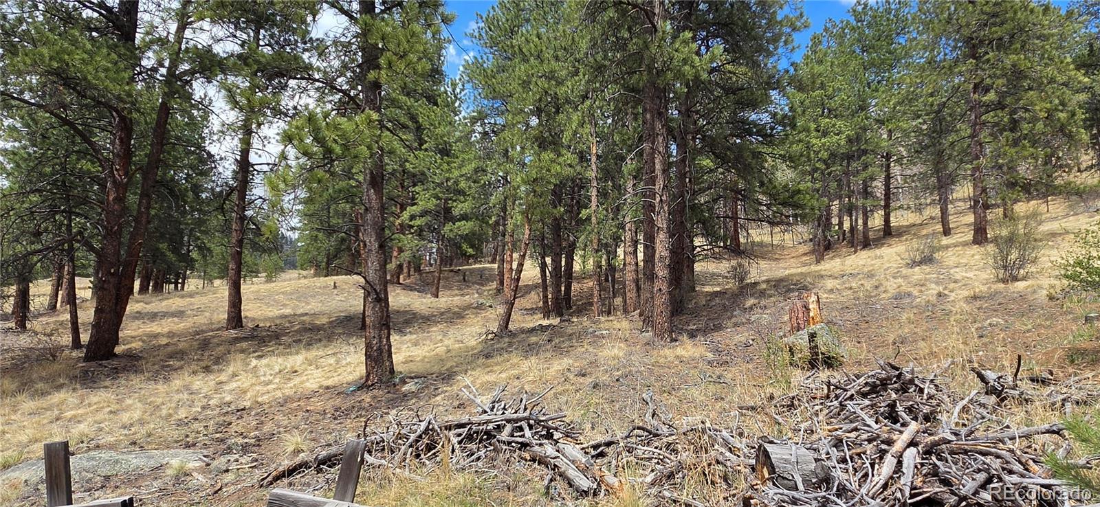 62430 Us Highway 285 Bailey CO 80421
