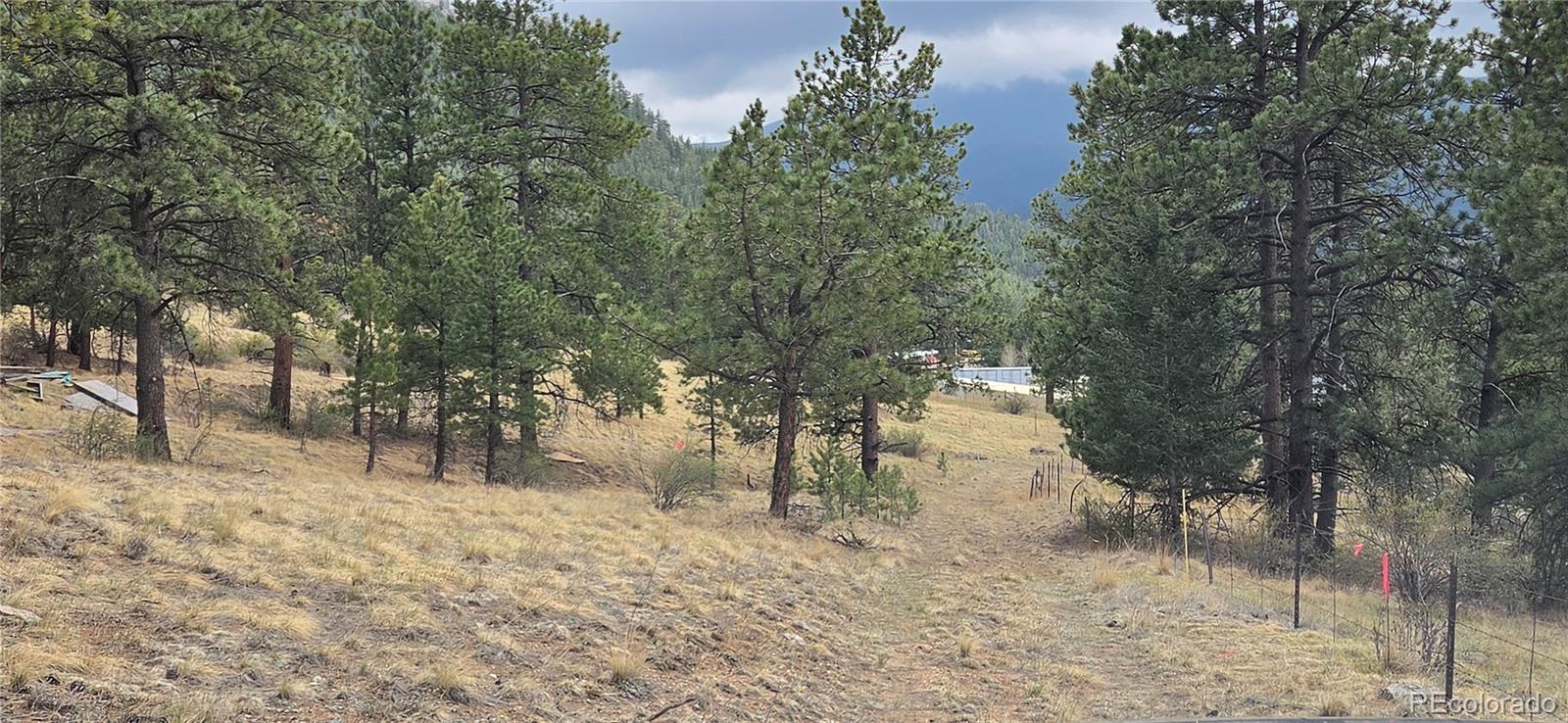 62430 Us Highway 285 Bailey CO 80421