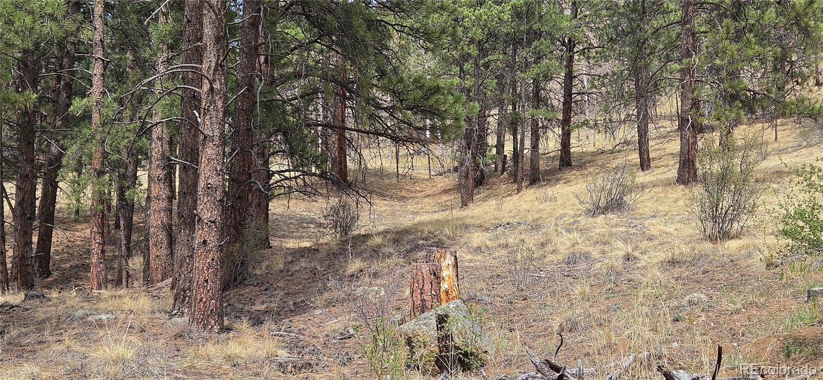 62430 Us Highway 285 Bailey CO 80421