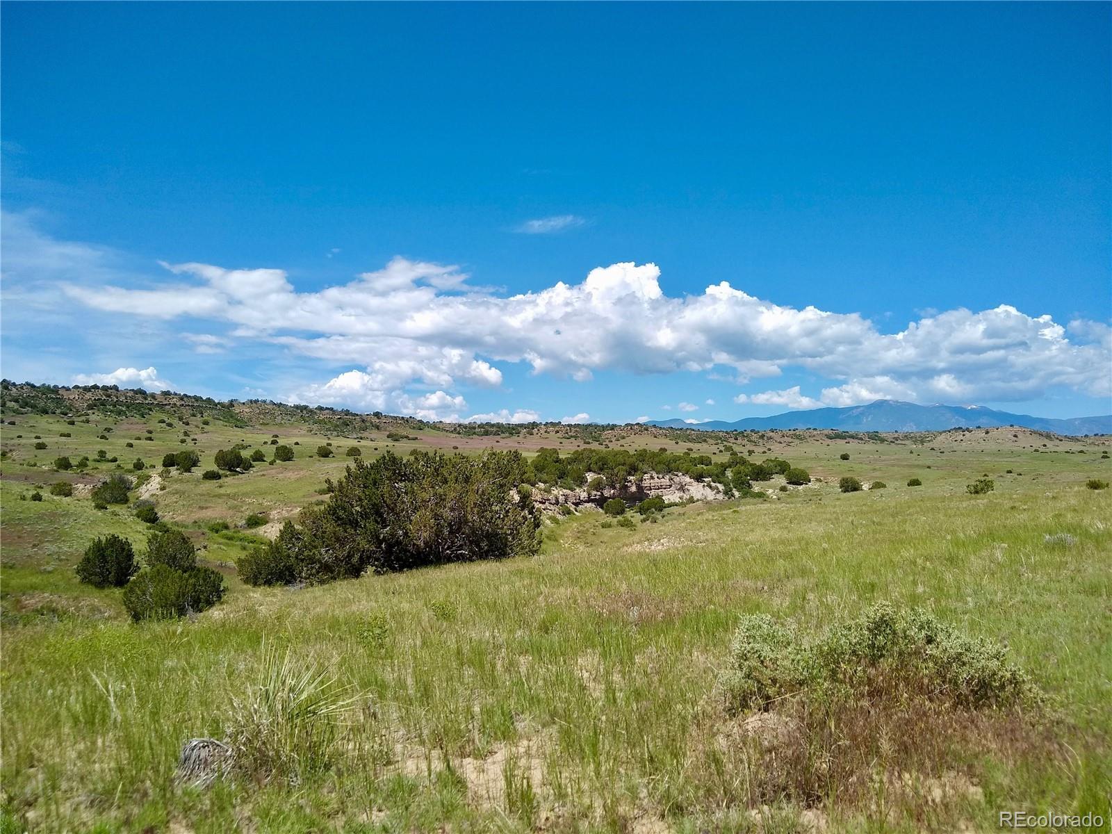 0 County 113 Lane Rye CO 81069