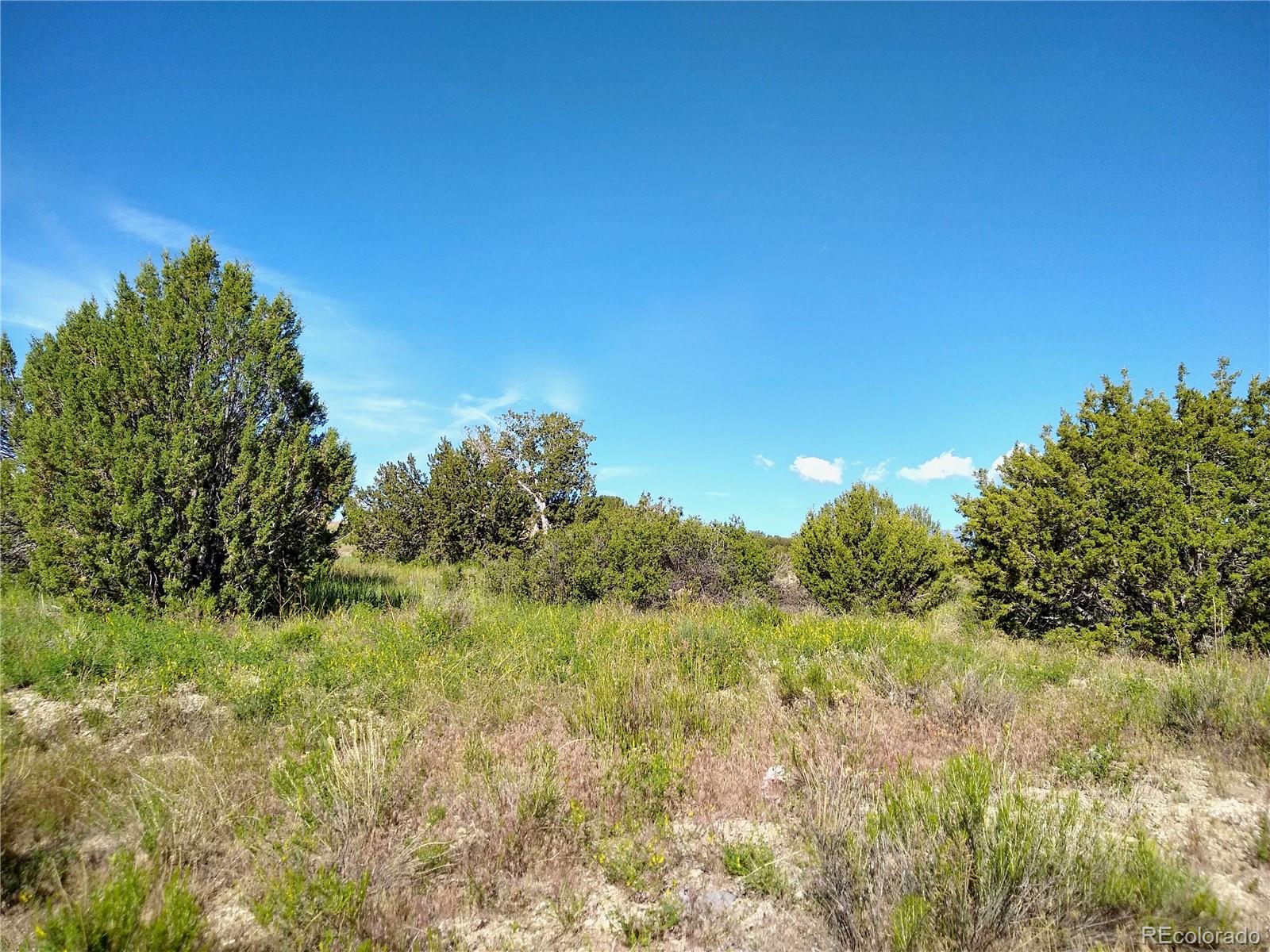 0 County 113 Lane Rye CO 81069