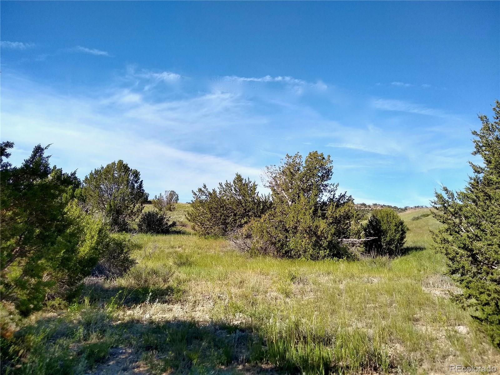 0 County 113 Lane Rye CO 81069