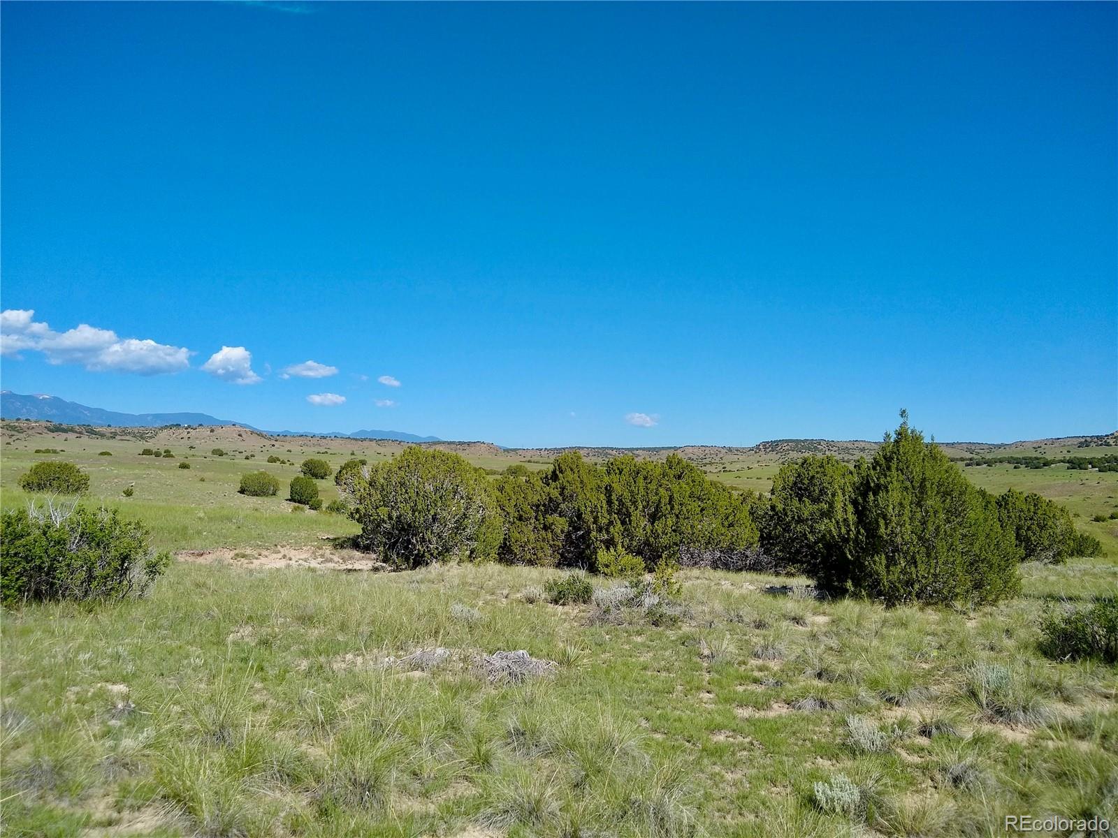 0 County 113 Lane Rye CO 81069