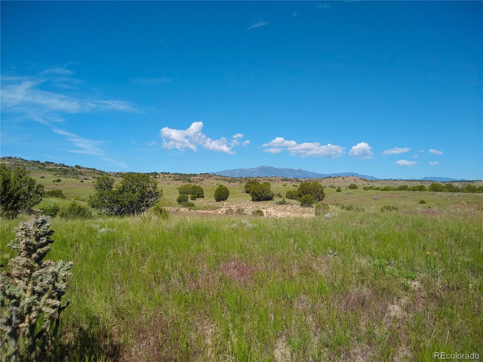 0 County 113 Lane Rye CO 81069