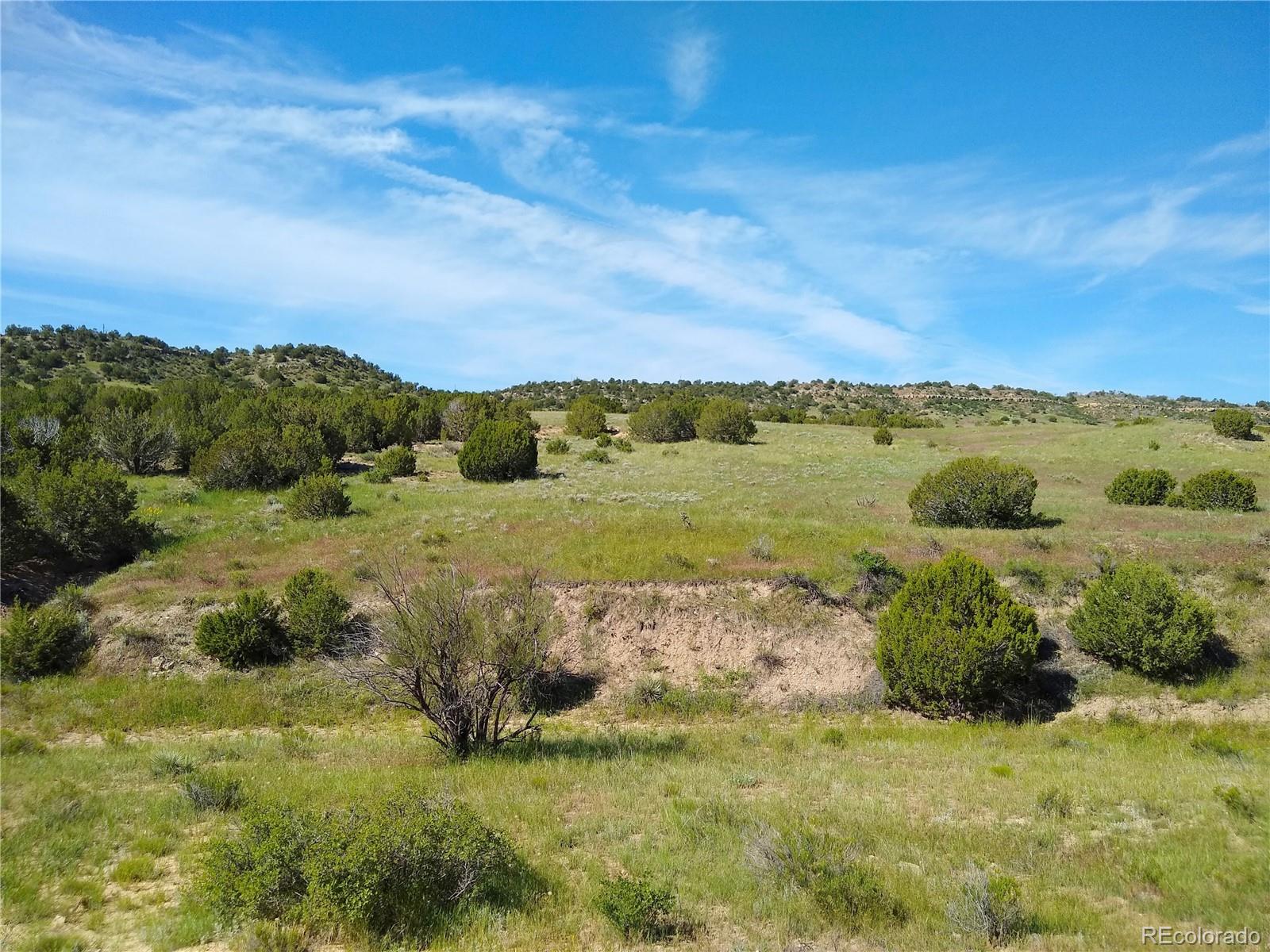 0 County 113 Lane Rye CO 81069