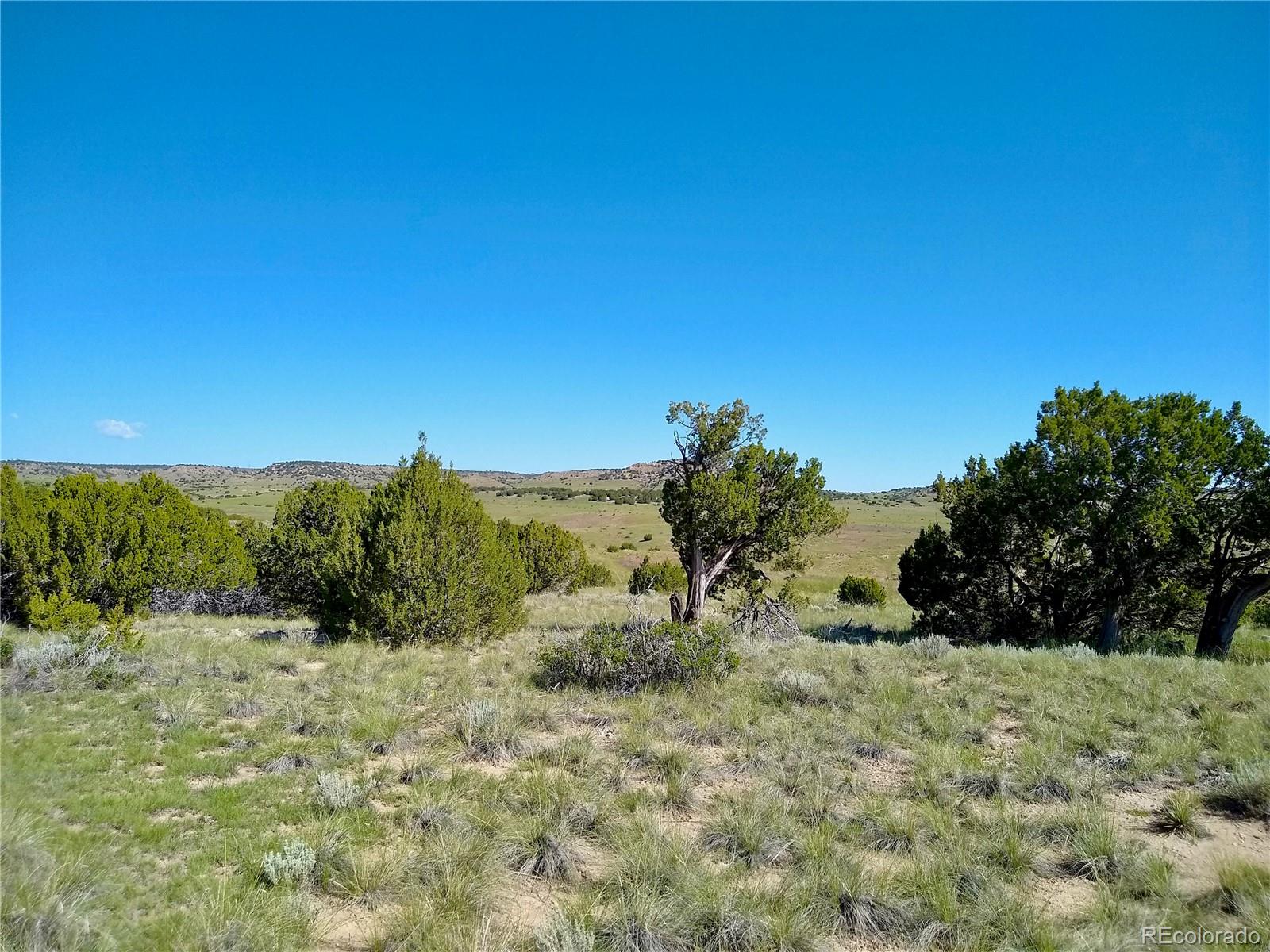 0 County 113 Lane Rye CO 81069