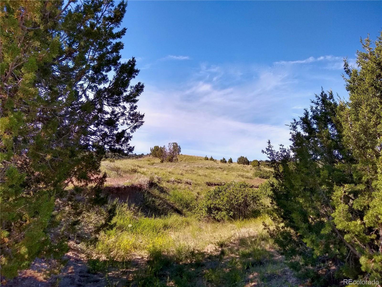 0 County 113 Lane Rye CO 81069