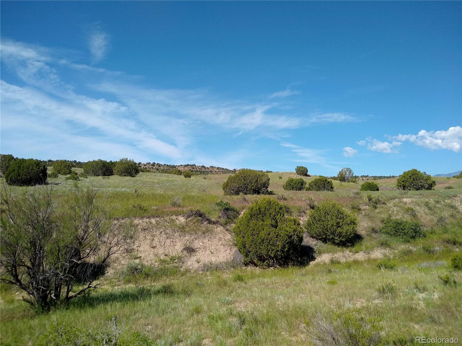 0 County 113 Lane Rye CO 81069