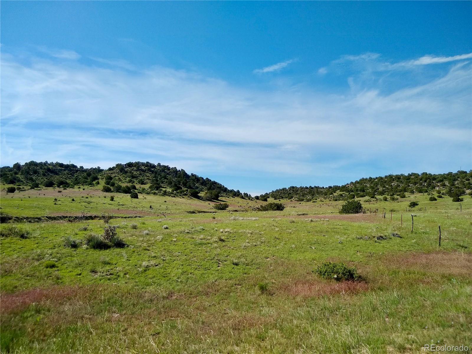 0 County 113 Lane Rye CO 81069
