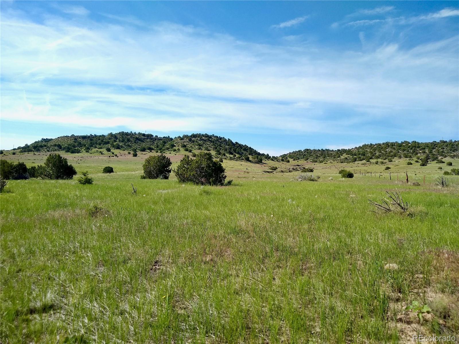 0 County 113 Lane Rye CO 81069