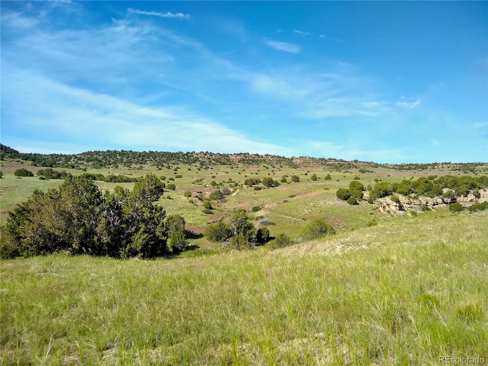 0 County 113 Lane Rye CO 81069