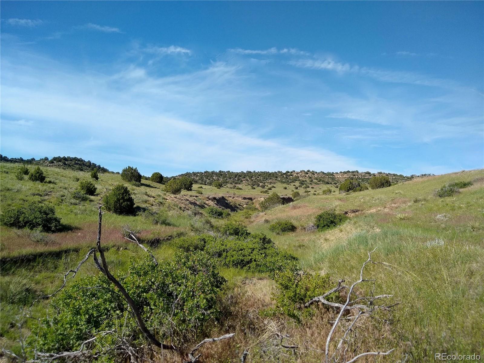 0 County 113 Lane Rye CO 81069
