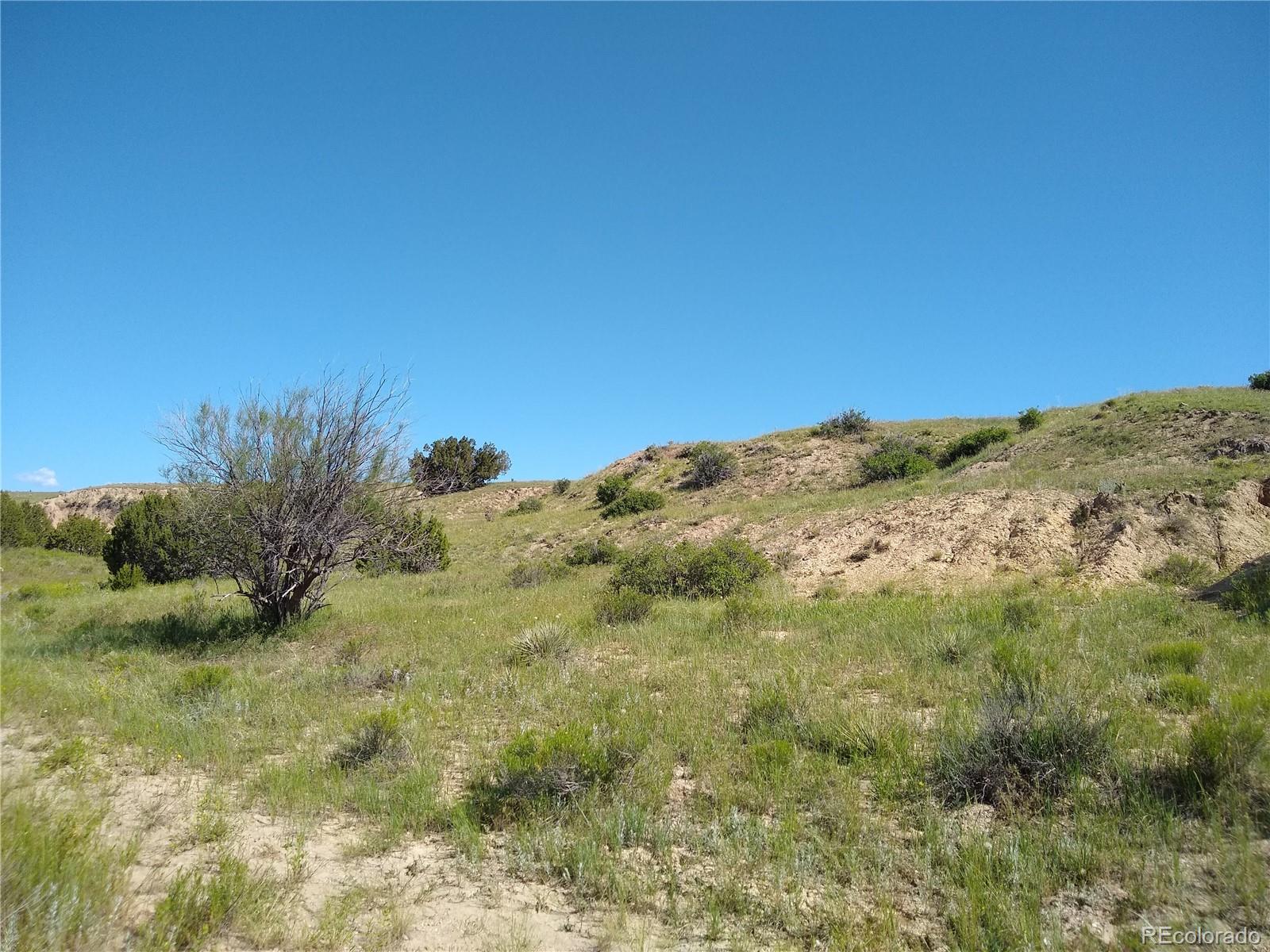 0 County 113 Lane Rye CO 81069