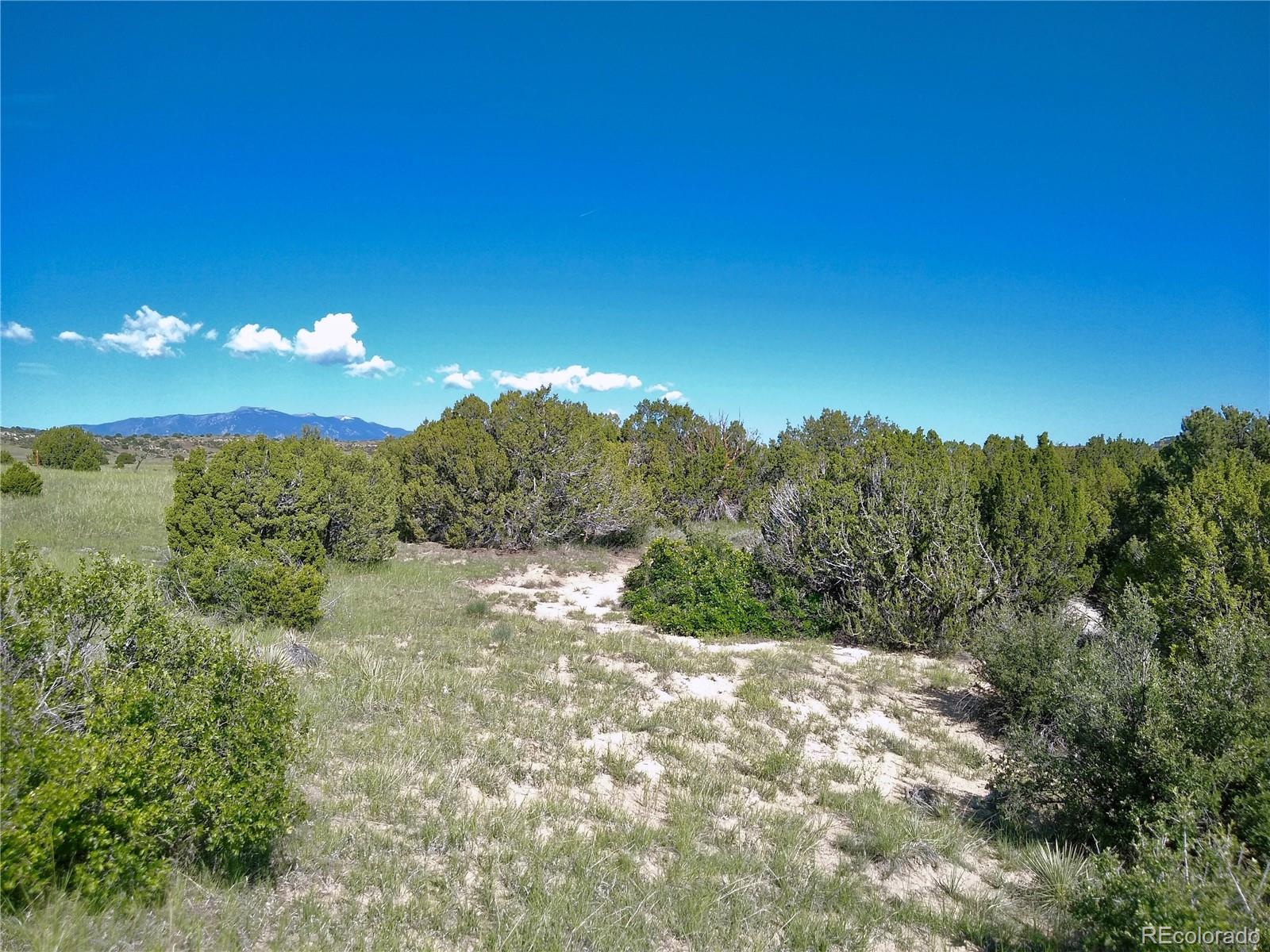 0 County 113 Lane Rye CO 81069