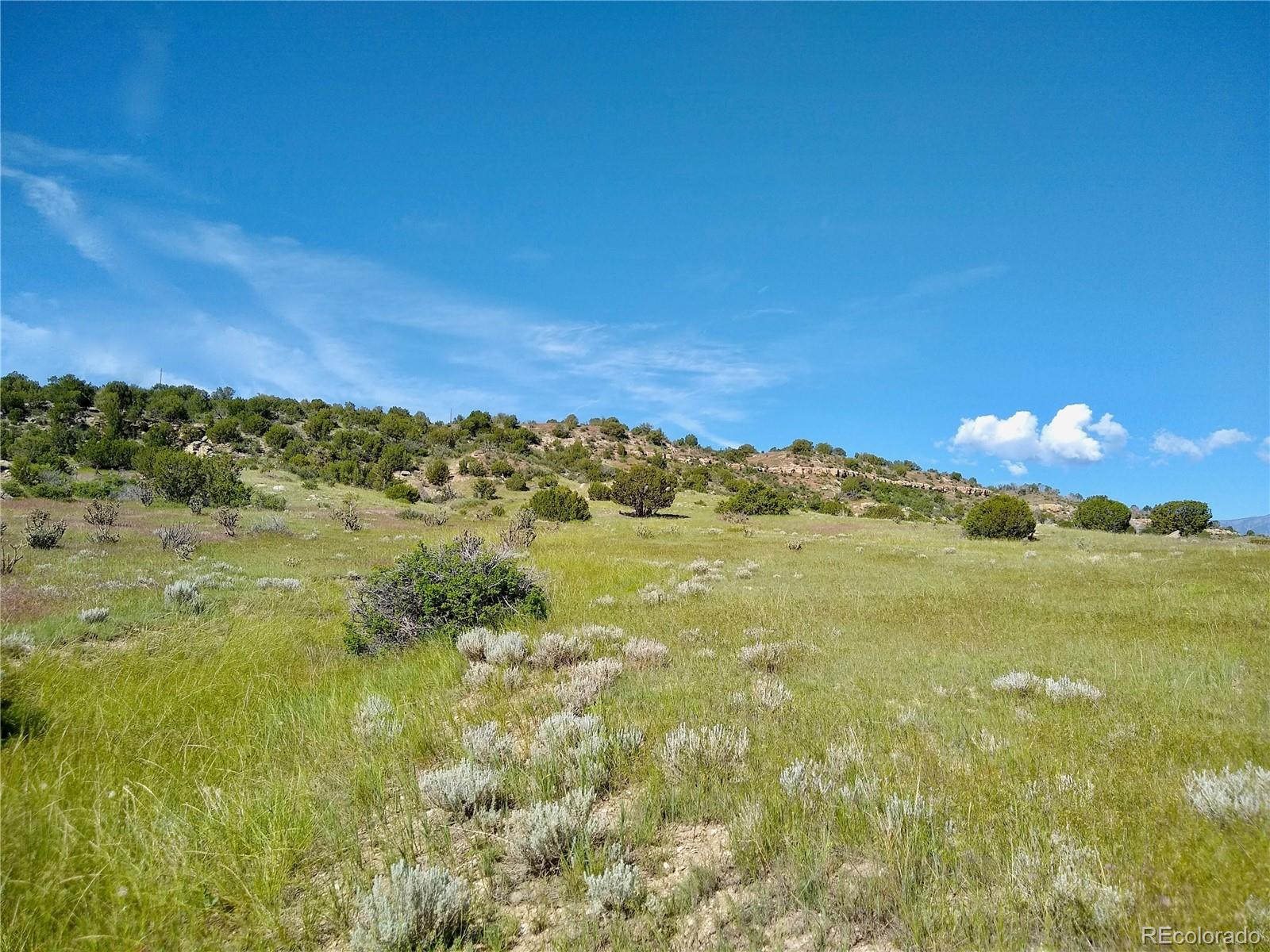 0 County 113 Lane Rye CO 81069