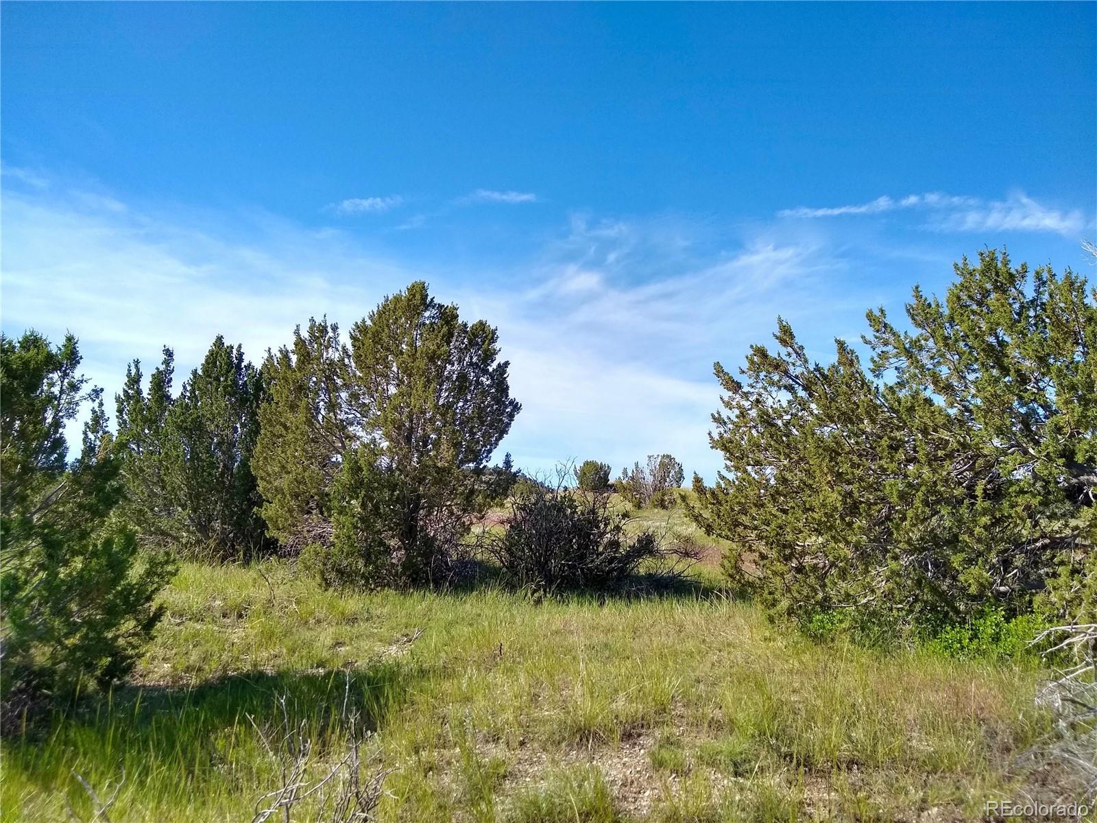 0 County 113 Lane Rye CO 81069