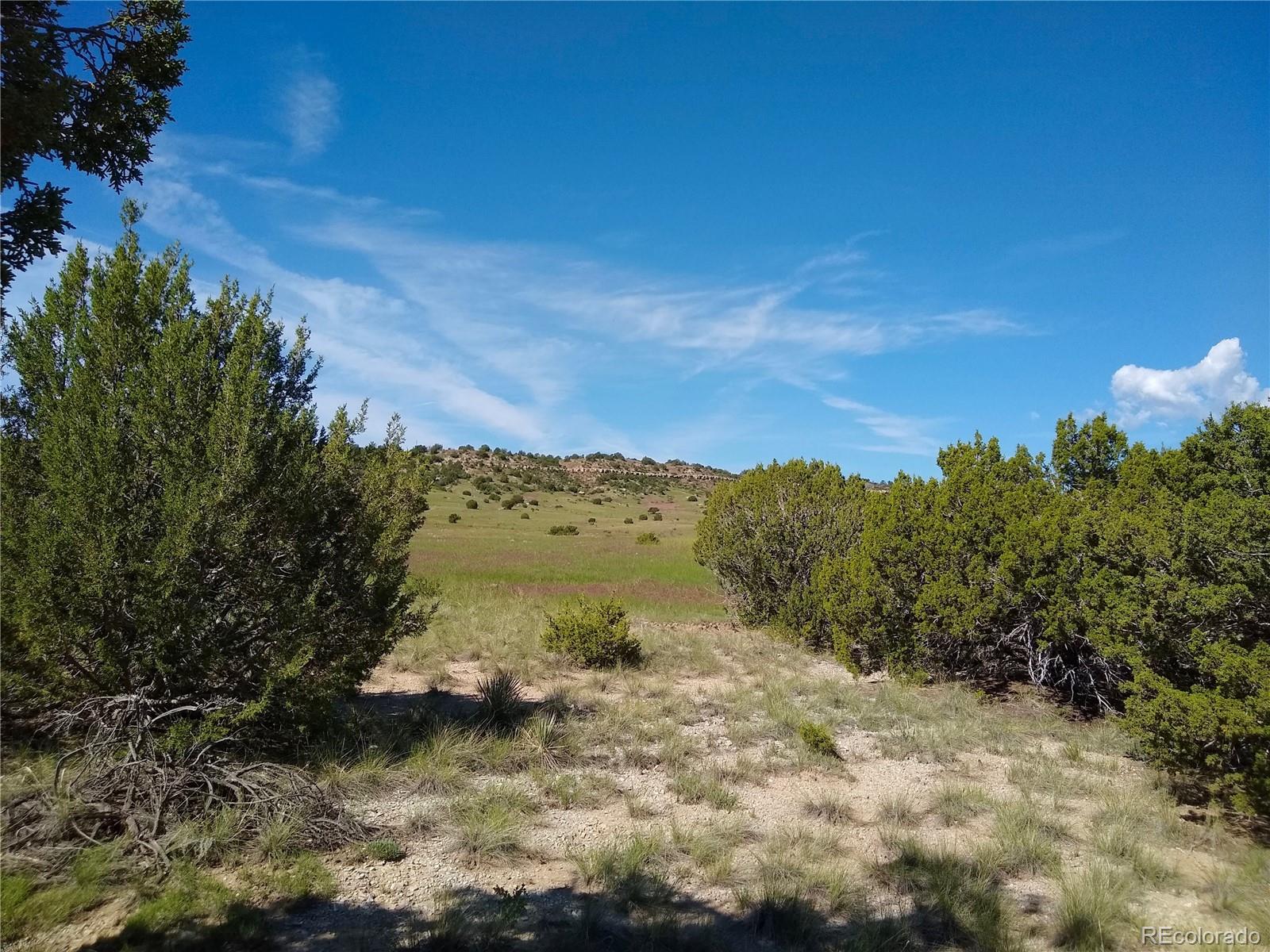 0 County 113 Lane Rye CO 81069