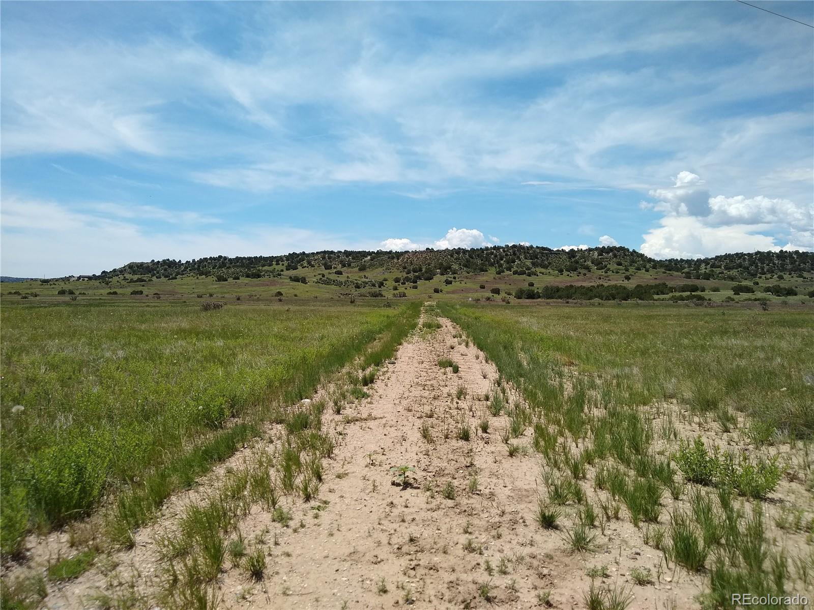 0 County 113 Lane Rye CO 81069