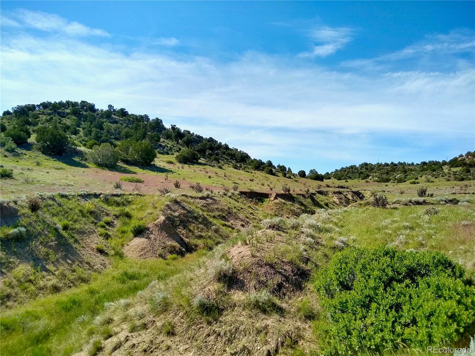 0 County 113 Lane Rye CO 81069