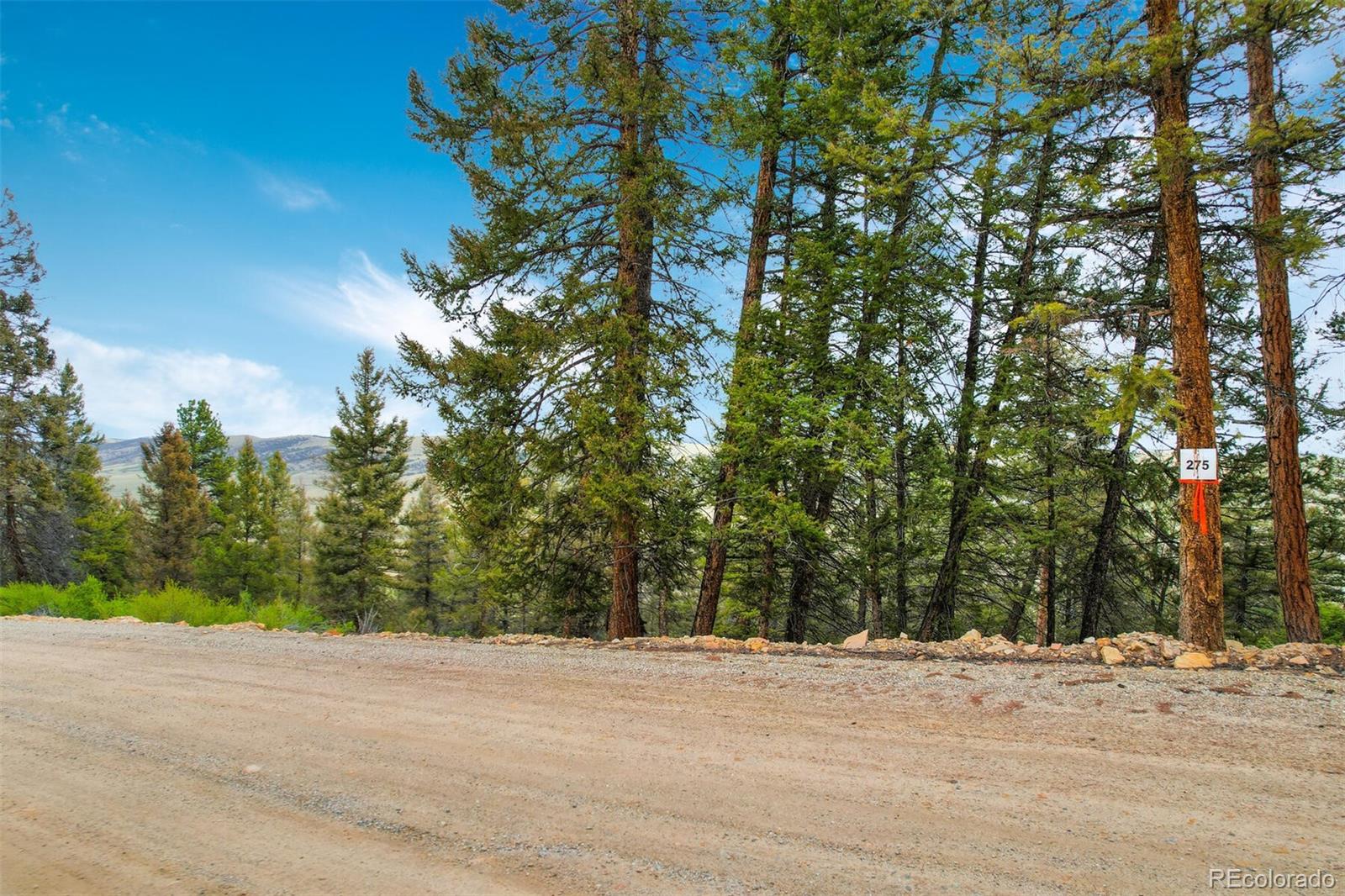 0 Trout Creek Lane Fairplay CO 80440
