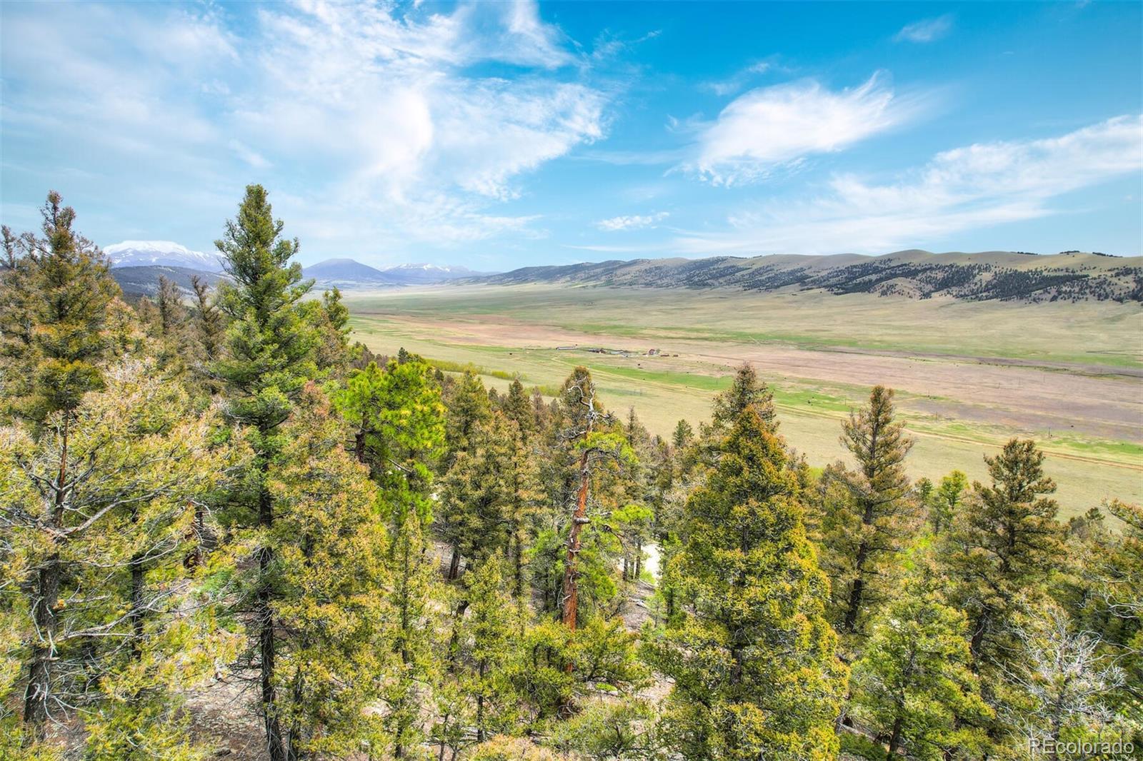 0 Trout Creek Lane Fairplay CO 80440