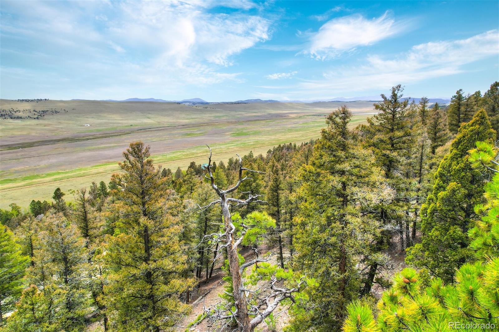 0 Trout Creek Lane Fairplay CO 80440