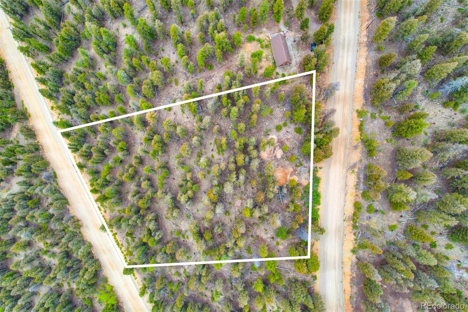 0 Trout Creek Lane Fairplay CO 80440