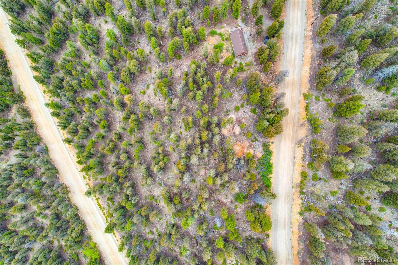 0 Trout Creek Lane Fairplay CO 80440
